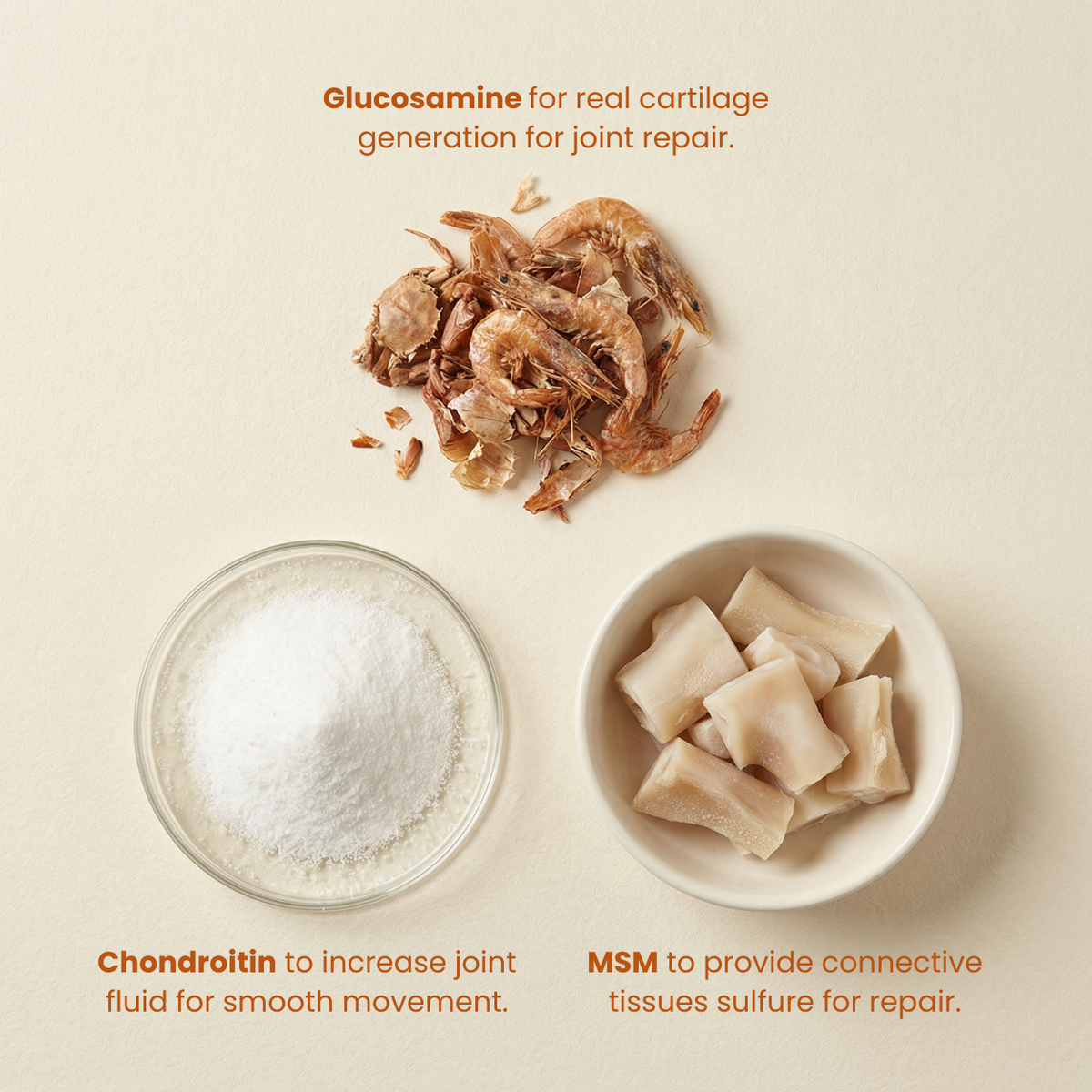 Ostriva™ For Joint Tendinopathy